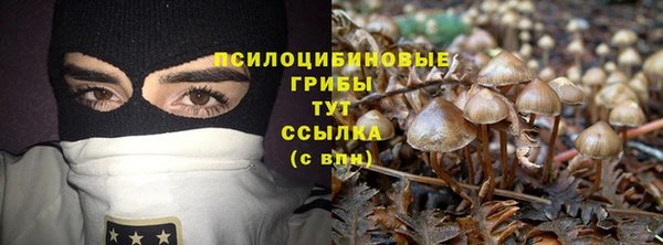 а пвп мука Арсеньев