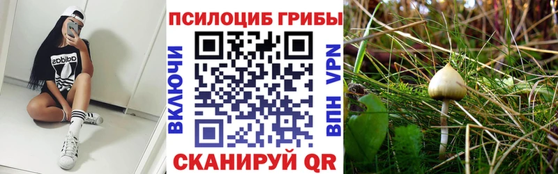 Псилоцибиновые грибы Psilocybine cubensis  кракен как войти  Сольвычегодск 